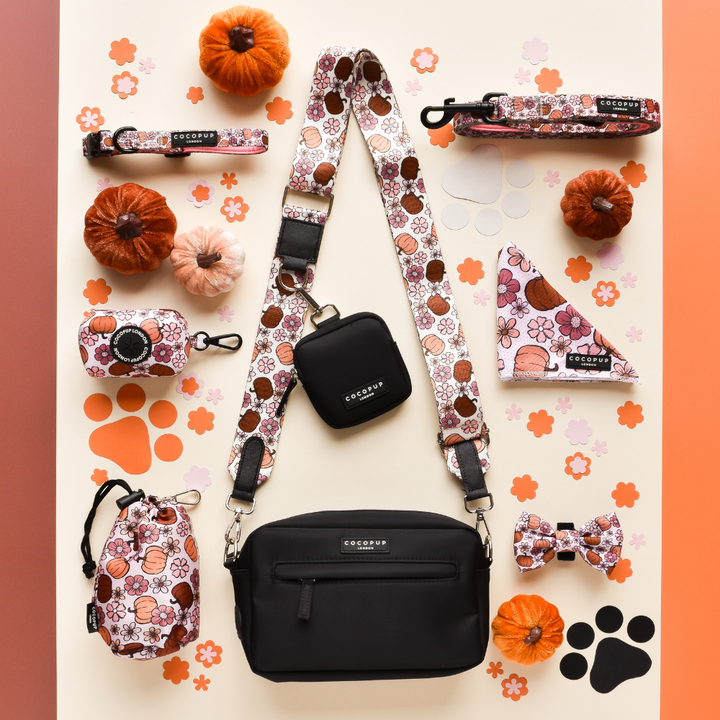 Dog Walking Black Bag Bundle - Pumpkin Meadow